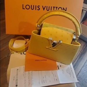brand new louis vuitton purse